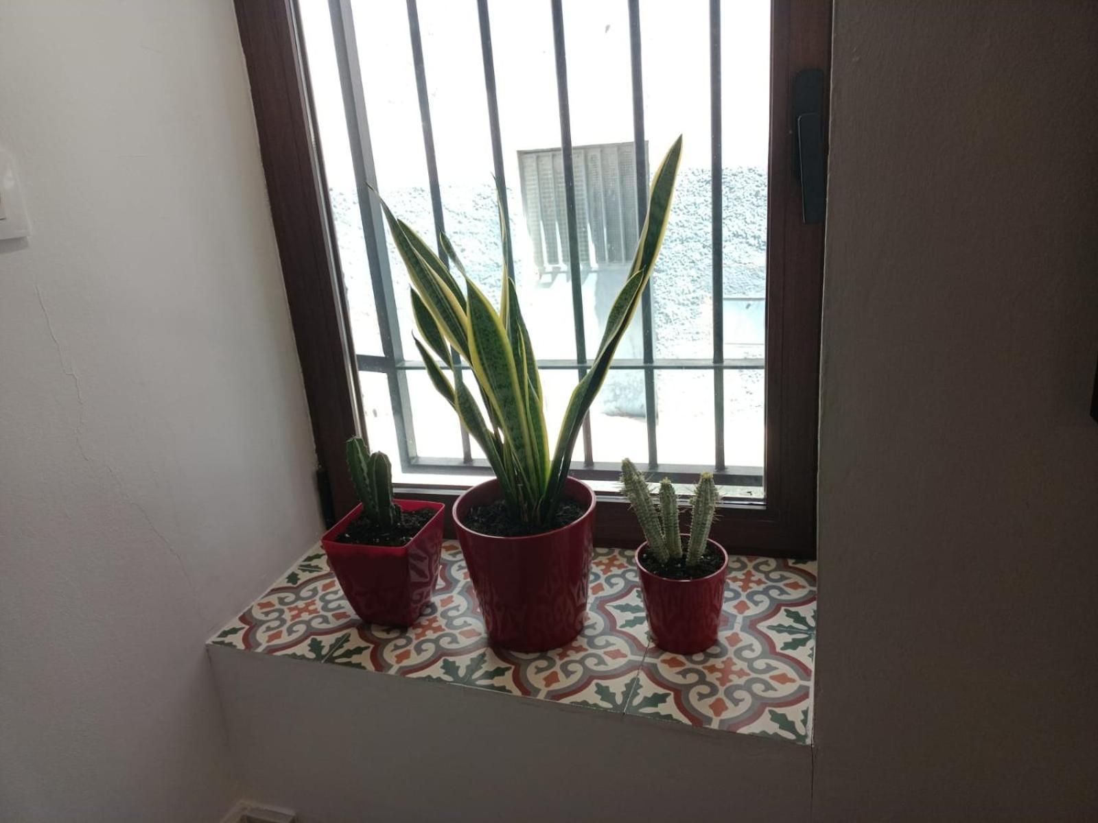 Casa Estilo Vintage En Appartement